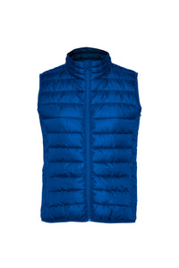Electric Blue (99)