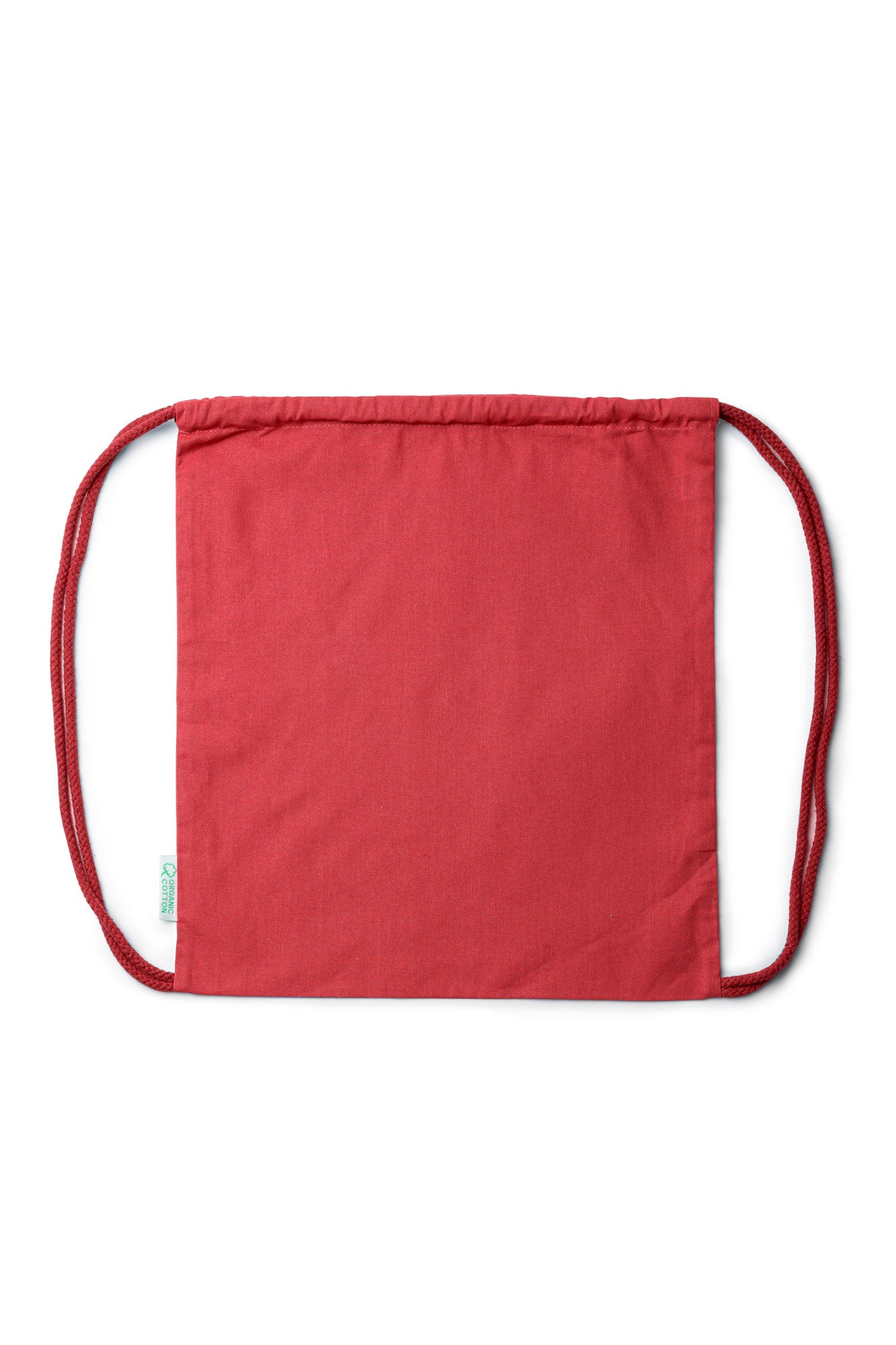 Chrysanthemum Red (262)