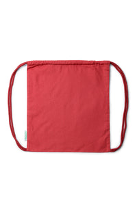 Chrysanthemum Red (262)