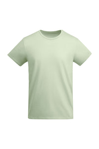 Mist Green (264)