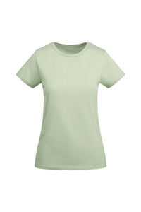 Mist Green (264)